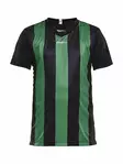 PROGRESS Jersey Stripe JR, Black/Team Gr - Craft Vaatteet - 1905584-9651 - 1