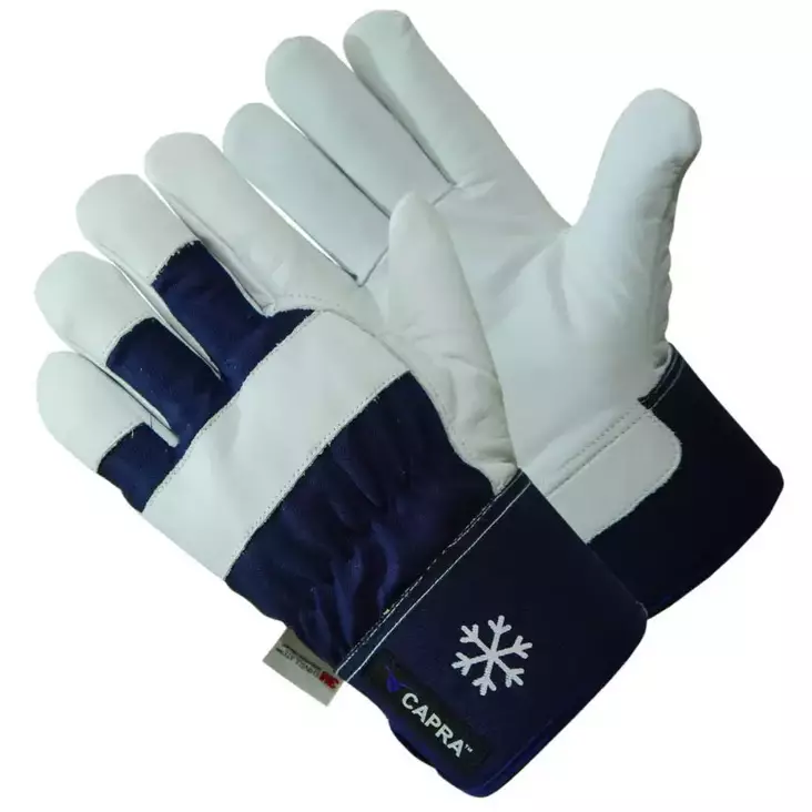 CAPRA C312 Talvityökäsine nahka - Talvityökäsineet - CA-C312 - 1