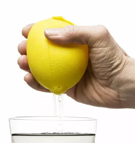 Sagaform Sitruspuristin - Koti ja Keittiö - 5017108 - 1