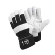 Talvikäsine SG70W teddy-vuori - Talvityökäsineet - SG70W - 1